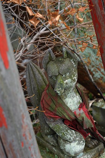 九尾の狛狐（訂正）