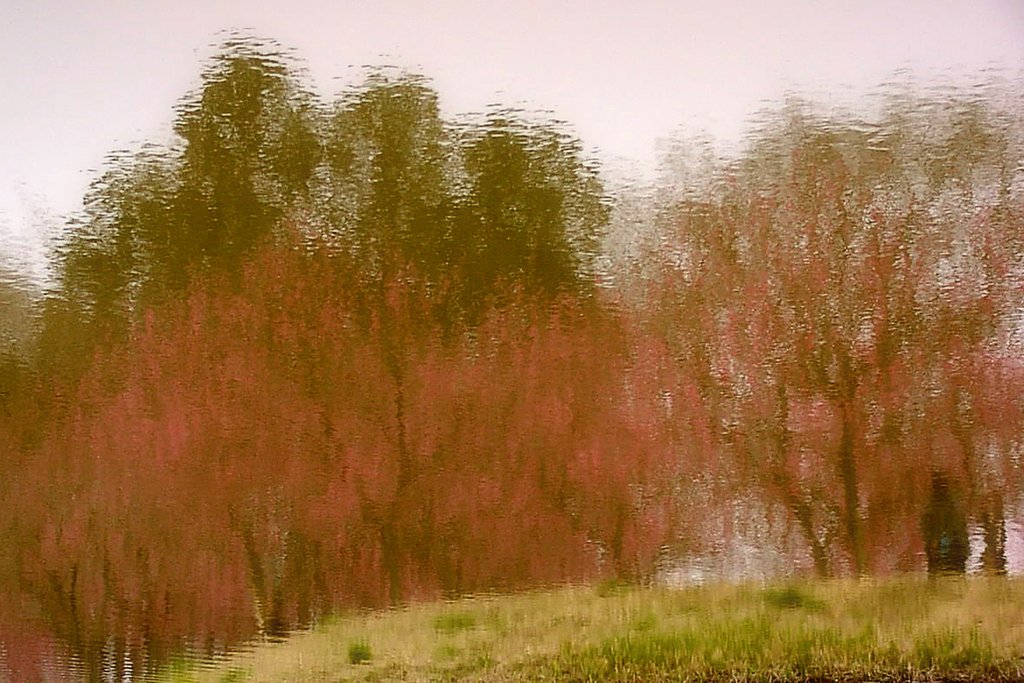 Water Canvas