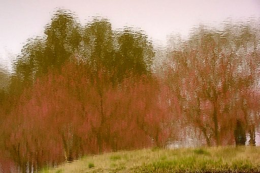 Water Canvas