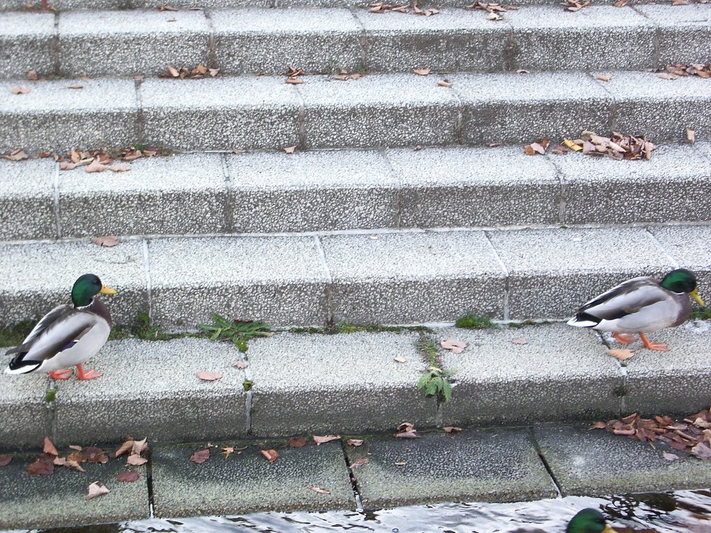 まってぇ〜；