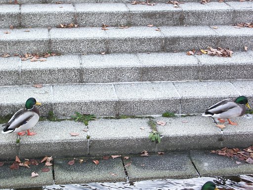 まってぇ〜；
