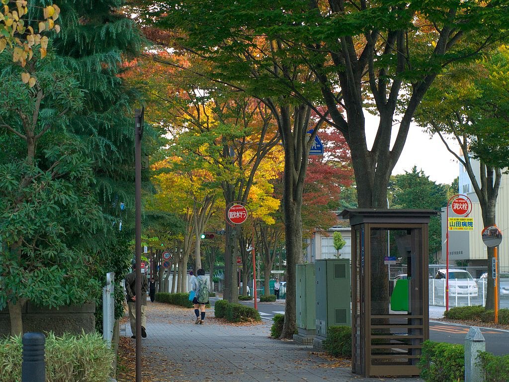 やっと秋の感じ・・・^^;