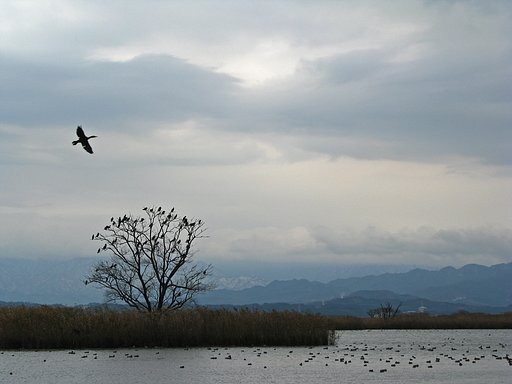 楽園寒景