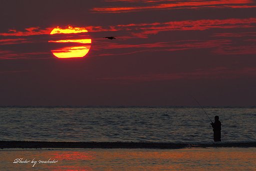 カラスと夕日・・
