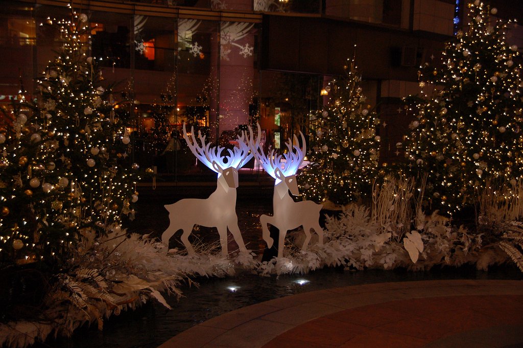 近づくX'mas…