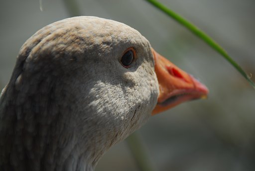 視線の先は？