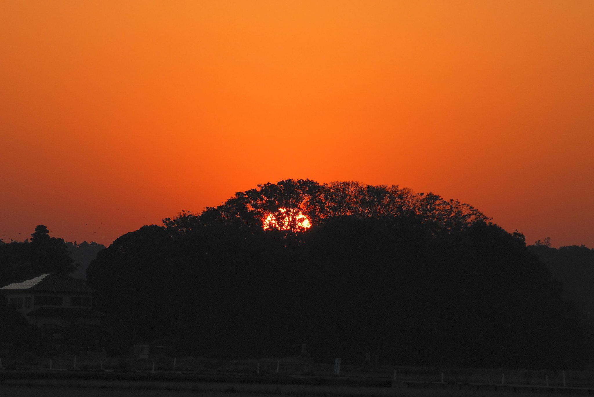 夕映え