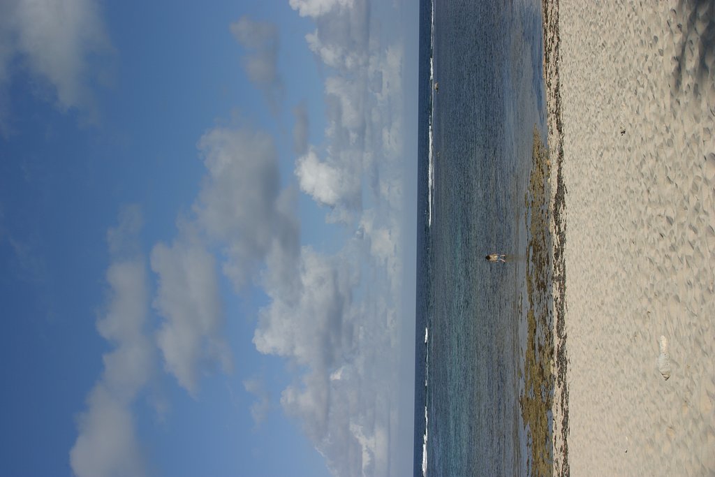 沖縄行ってきました。