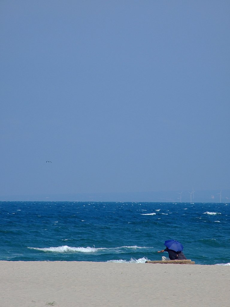 午後の海