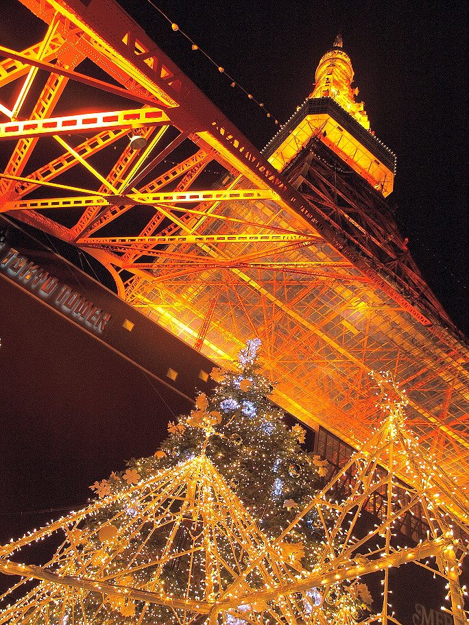 「クリスマス・ライトダウン ストーリー」