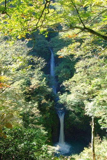 大山滝