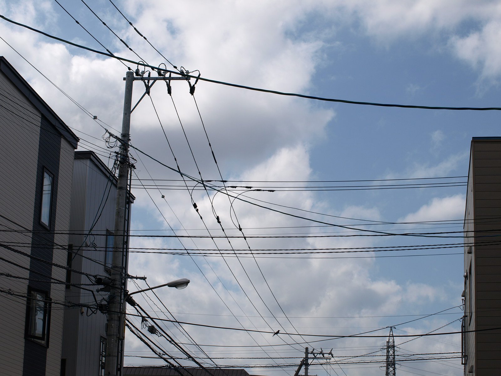電線もあり