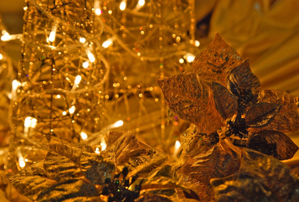 クリスマスの夜