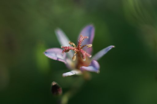人まねになってない