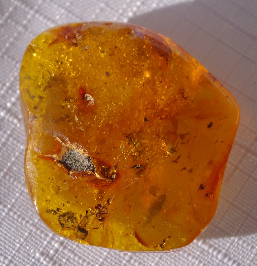 **Amber**