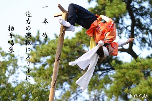 一本竹