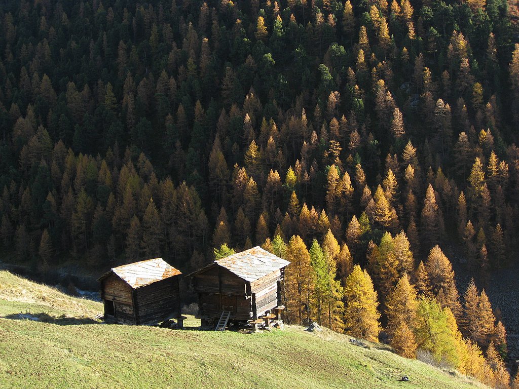 スイスの黄葉