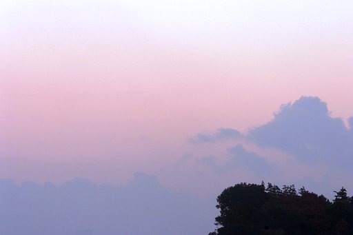 朝霧に包まれた横浜