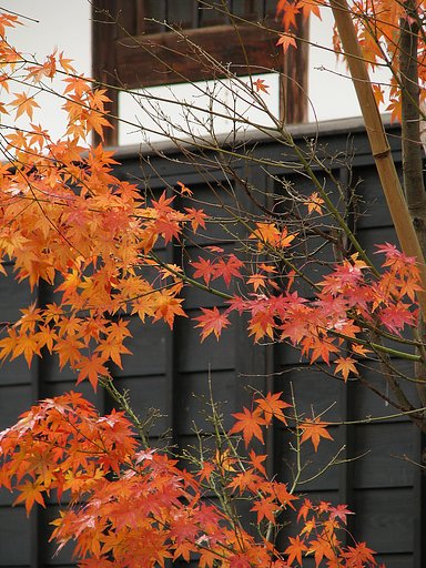 木戸をくぐると