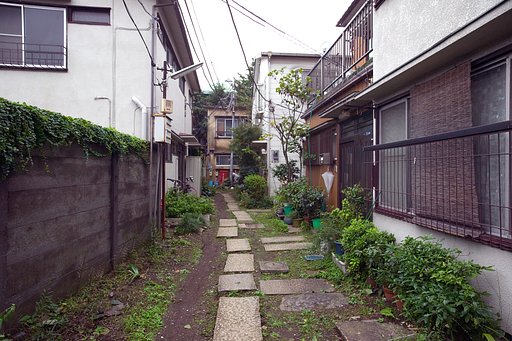 作例ディスタゴン21mmF2.8