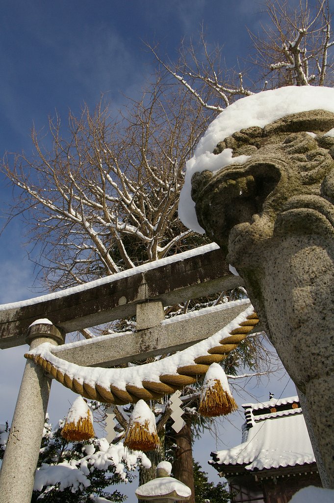 雪景色にほえろ