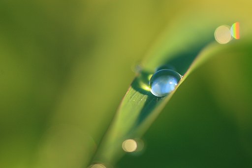 水のジュエリー