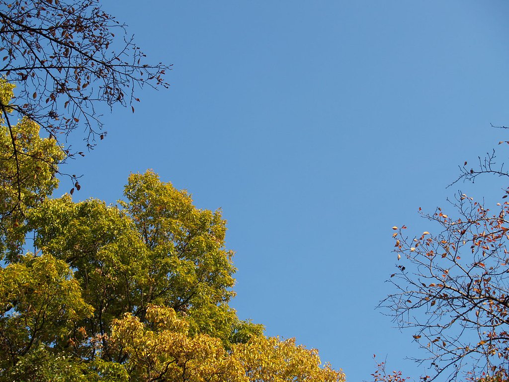 青空