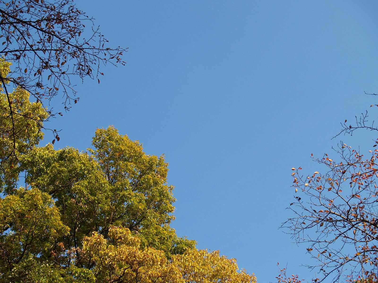 青空