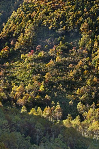 村上山の紅葉