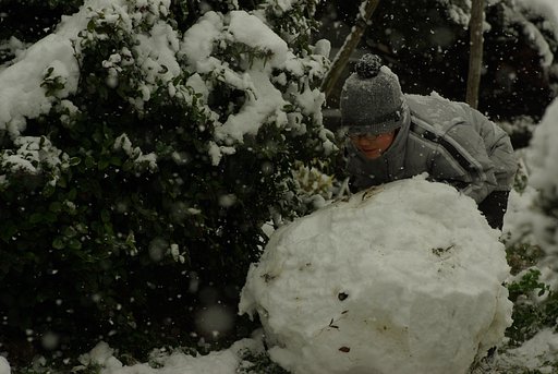 雪ごろごろ