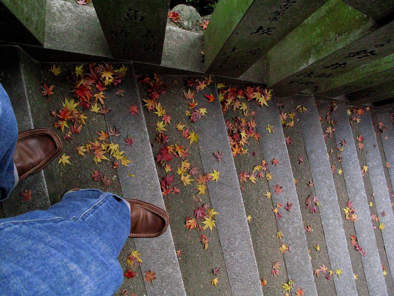 【締】　紅葉狩り