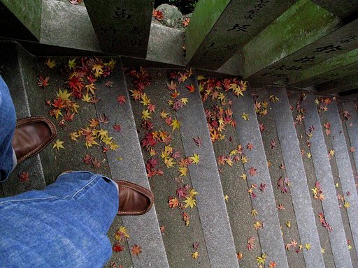 【締】　紅葉狩り