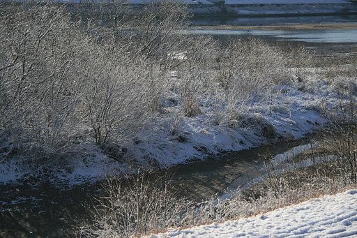 雪が降った朝