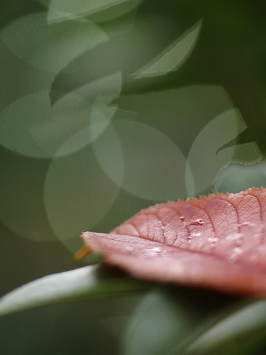 街の秋
