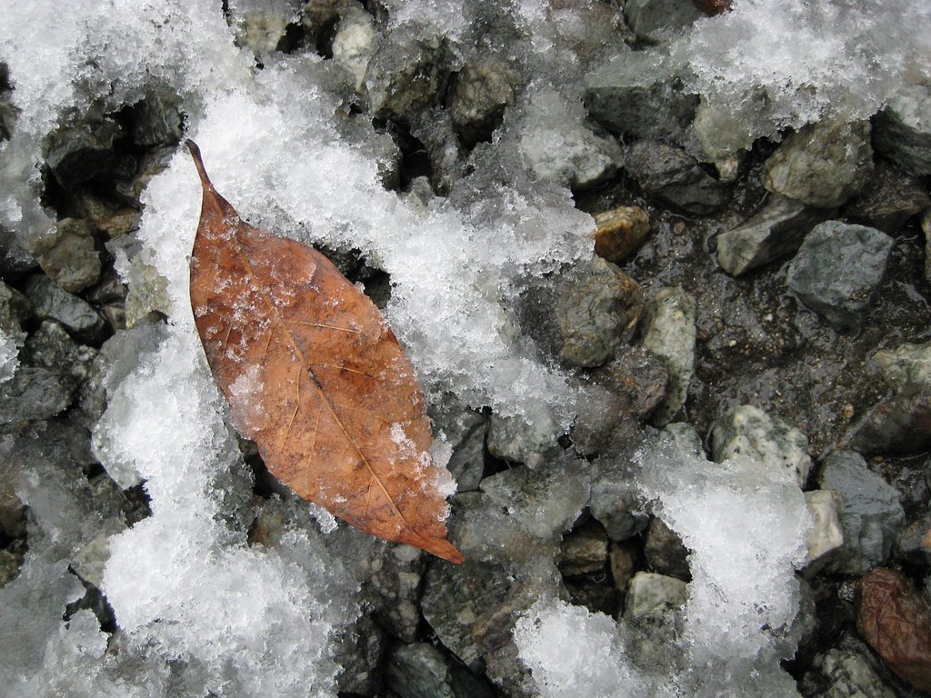 雪が・・・