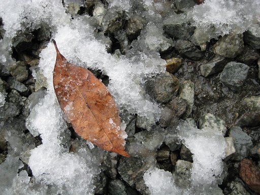 雪が・・・