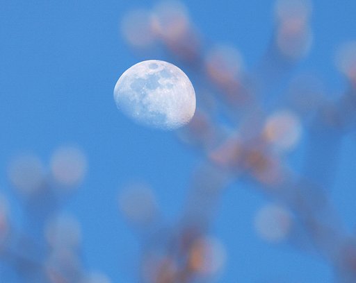 春よ来い(2)