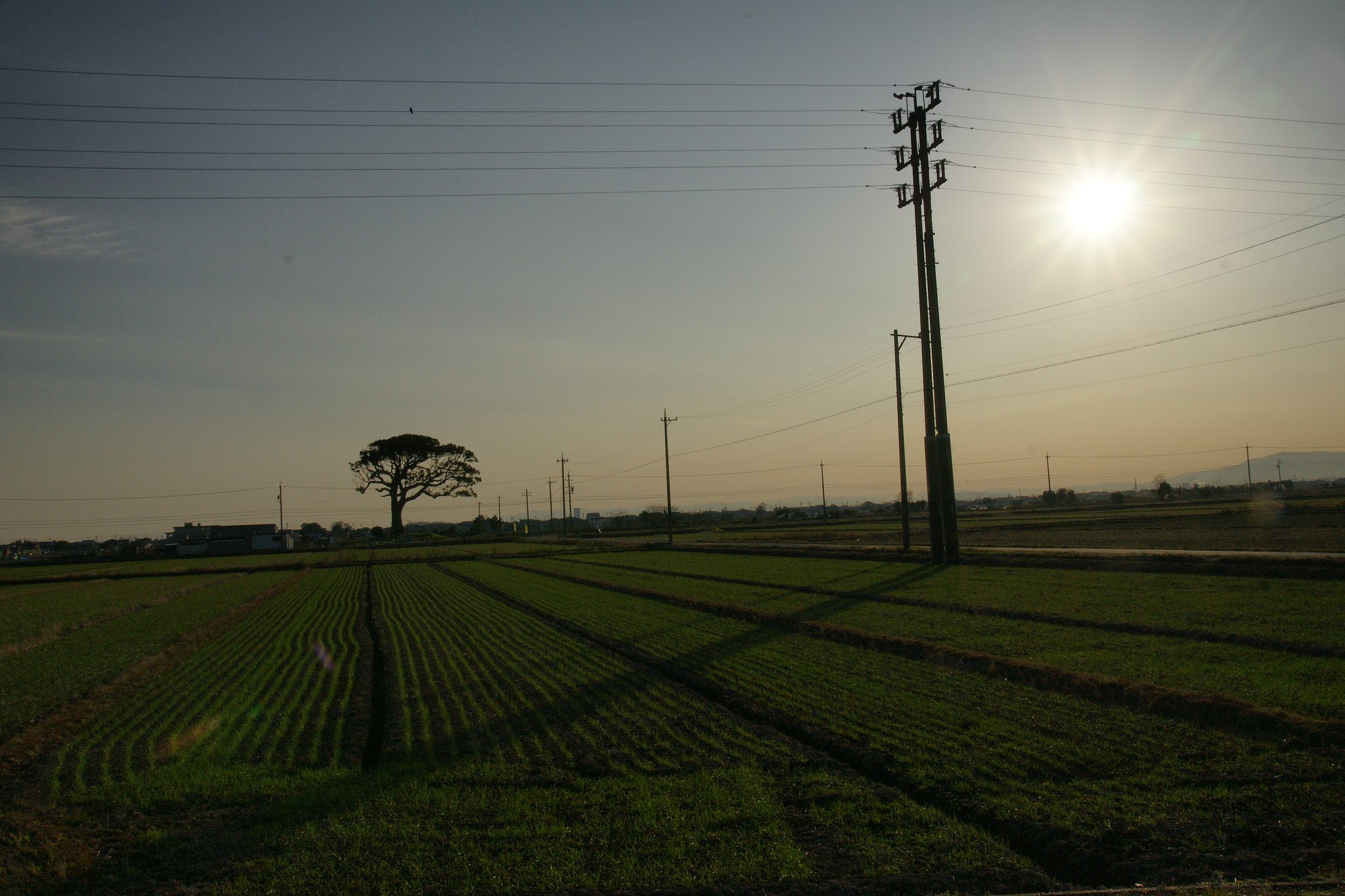 SONY16-105mm