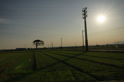 SONY16-105mm