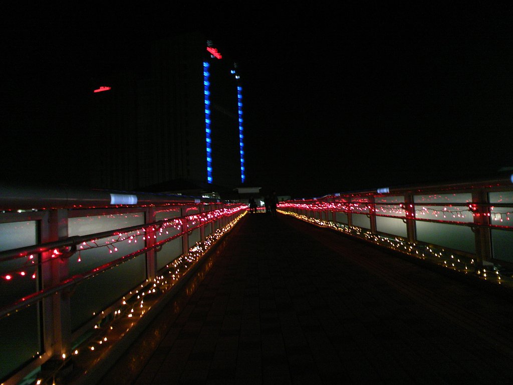 陸橋のネオン