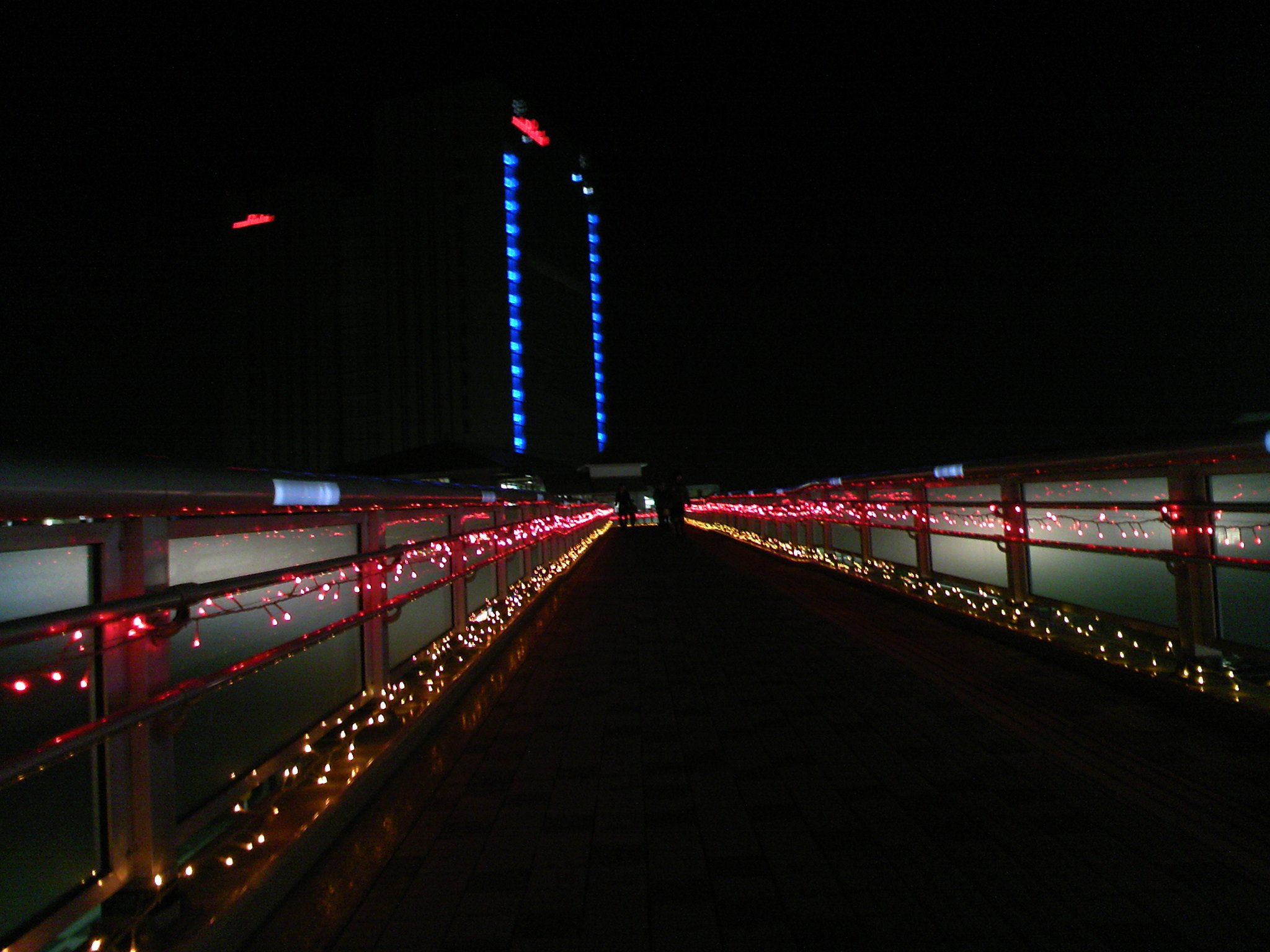 陸橋のネオン