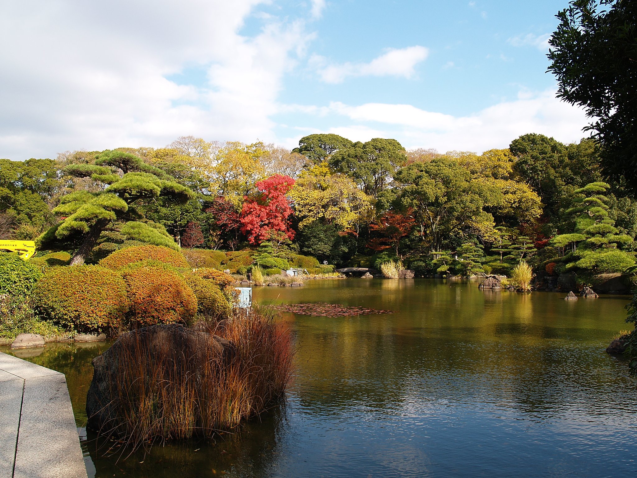 天王寺公園の池の畔