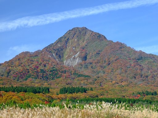 帰り道