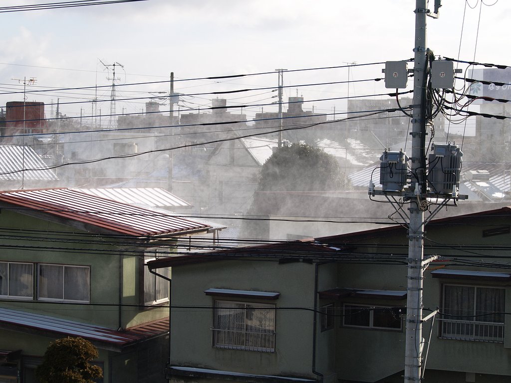 風が・・・こわい！