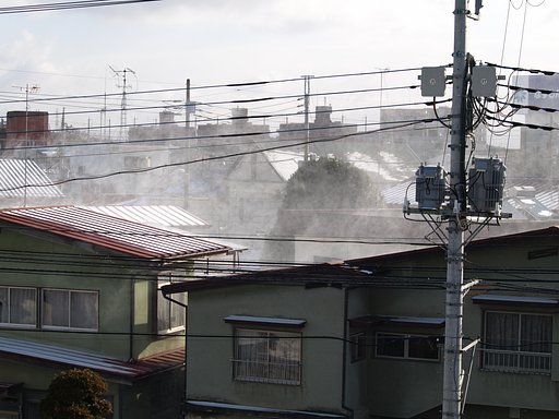風が・・・こわい！