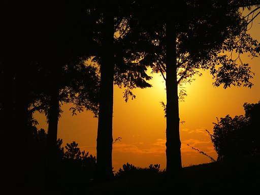 夕暮れ