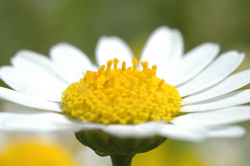 質問です　F1.4D? F1.8D?