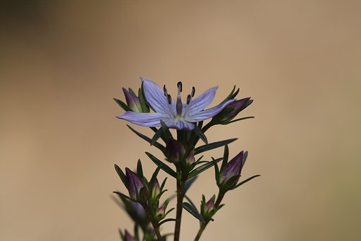 10月30日の写真