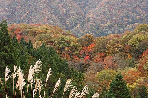 揖斐高原の秋景色