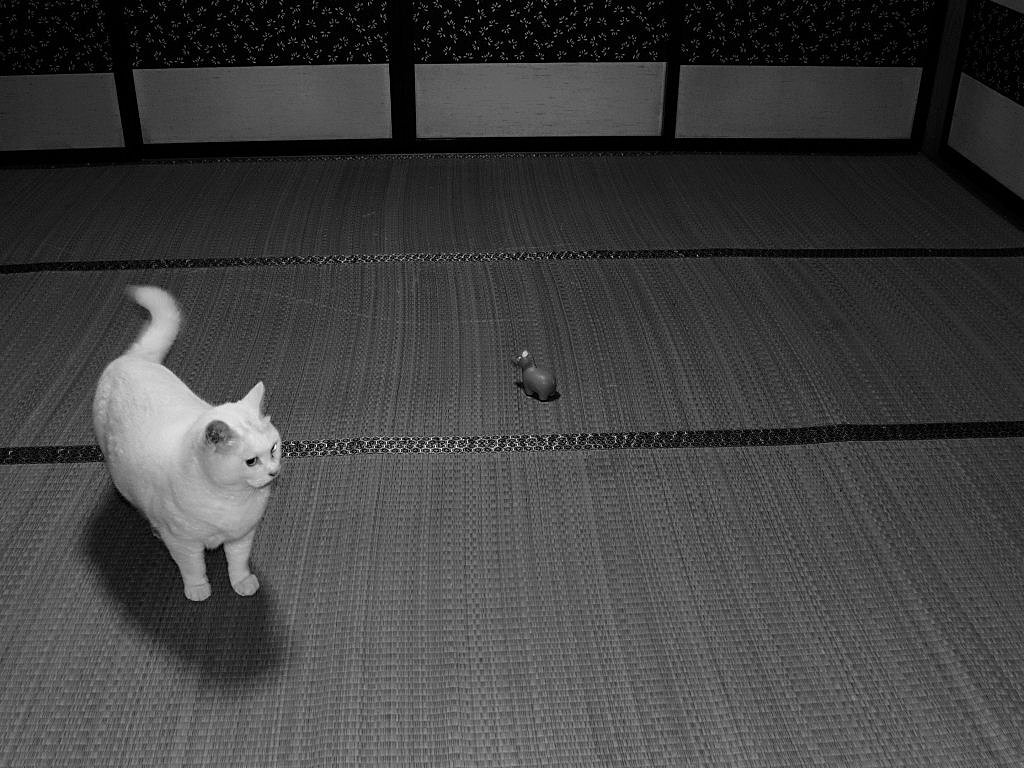 メタ坊のおもちゃ